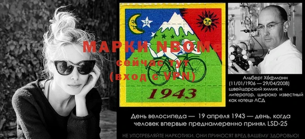 винт Няндома
