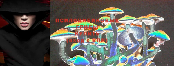винт Няндома