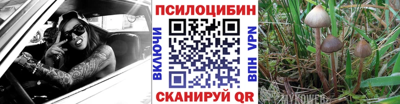 Псилоцибиновые грибы Magic Shrooms  Северская 